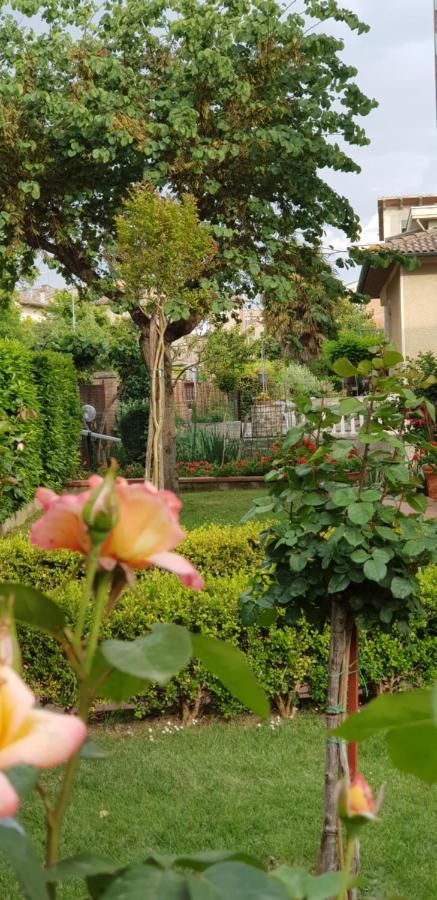 La Casa Di Gigliola Villa Monticiano Dış mekan fotoğraf