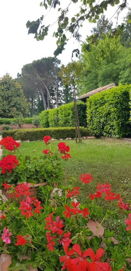 La Casa Di Gigliola Villa Monticiano Dış mekan fotoğraf