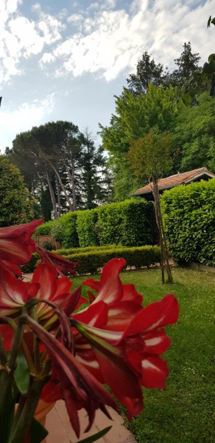 La Casa Di Gigliola Villa Monticiano Dış mekan fotoğraf