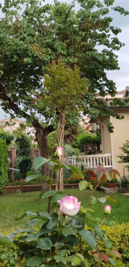 La Casa Di Gigliola Villa Monticiano Dış mekan fotoğraf