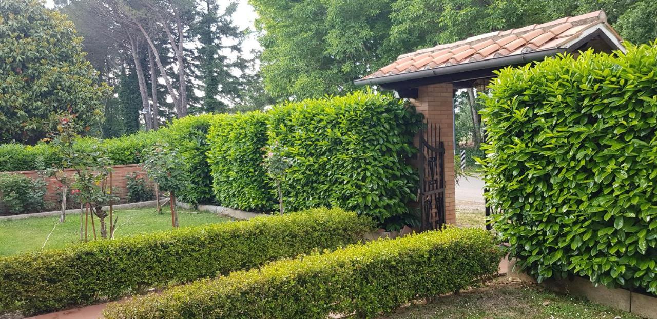La Casa Di Gigliola Villa Monticiano Dış mekan fotoğraf